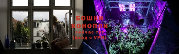 тгк Богданович
