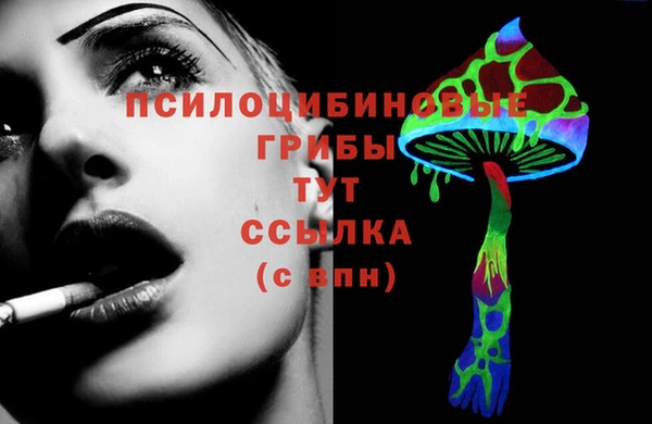 spice Богородск