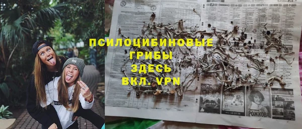 винт Богородицк