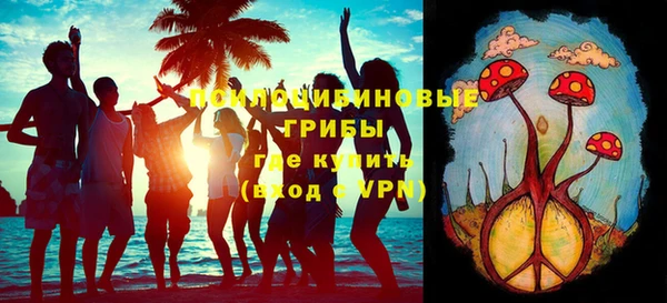 тгк Богданович